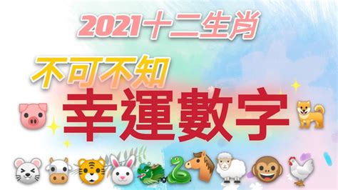 12生肖幸運數字|12生肖最強開運秘訣 幸運數字、顏色與方位都要筆記。